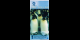 Photographie réelle : Antarctique - pNL08 - 1&nbsp;Dollar - 14.12.2011 - Antarctica Overseas Exchange Office LTD | MonnaiesDuMonde.
