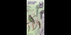 Spécimen de collection : Iles Pitcairn - pNL050 - 50 dollars - 2019 - Bank of Fantasy | MonnaiesDuMonde.net